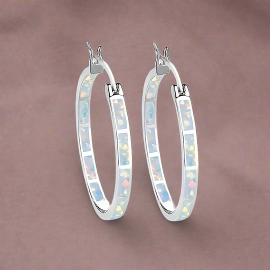 Elegant Silver Hoop Earrings
