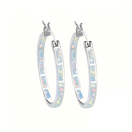 Elegant Silver Hoop Earrings